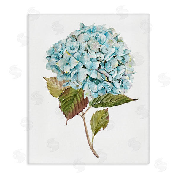 stupell industries Enya Todd | Simple Hydrangea Bud