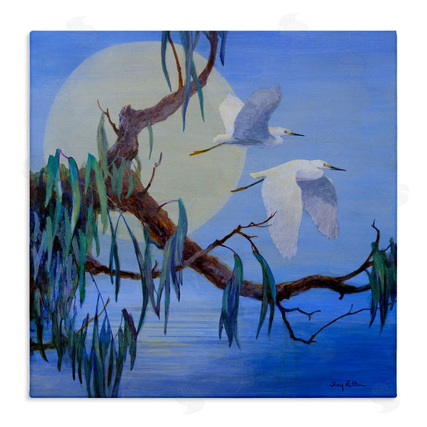 stupell industries Floy Zittin | Shining Moon & Birds