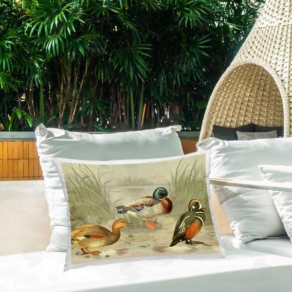 Stupell Industries Gail Fraser | Ducks & Pond Nature