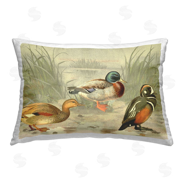 stupell industries Gail Fraser | Ducks & Pond Nature