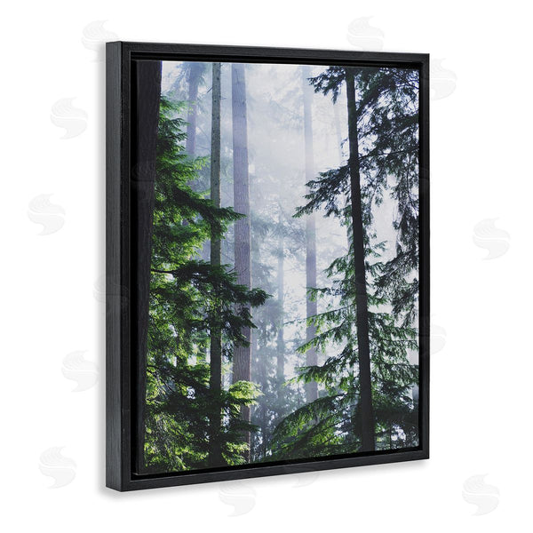 Stupell Industries Gail Peck | Foggy Forest View
