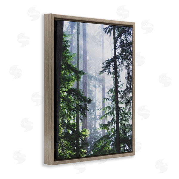 Stupell Industries Gail Peck | Foggy Forest View