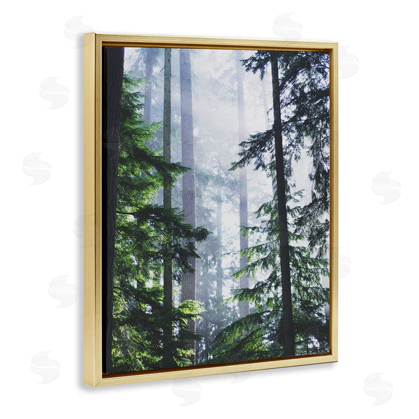 Stupell Industries Gail Peck | Foggy Forest View