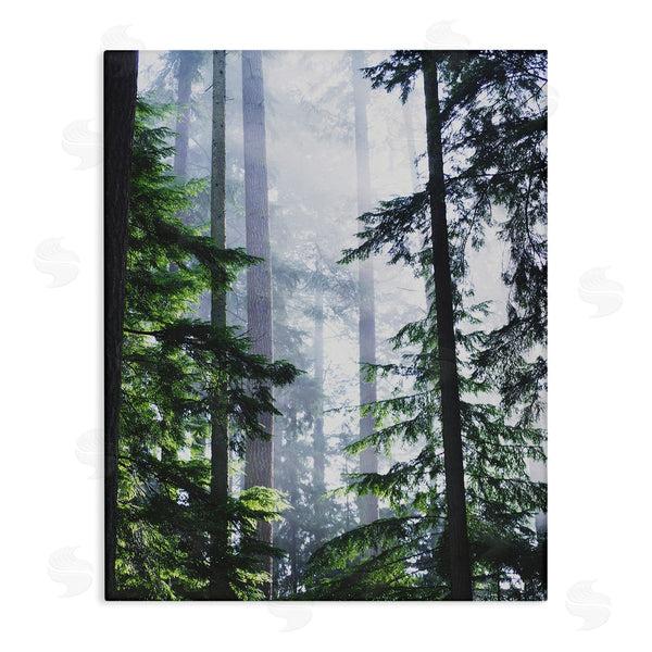 stupell industries Gail Peck | Foggy Forest View