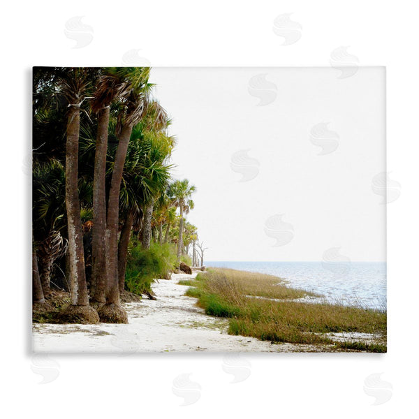 stupell industries Gail Peck | Palm Beach Path