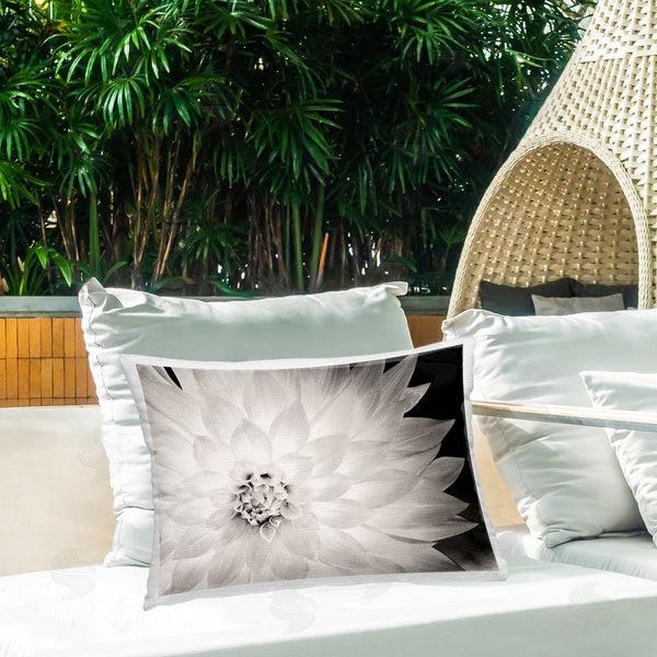Stupell Industries Gail Peck | Strong Dahlia Petals