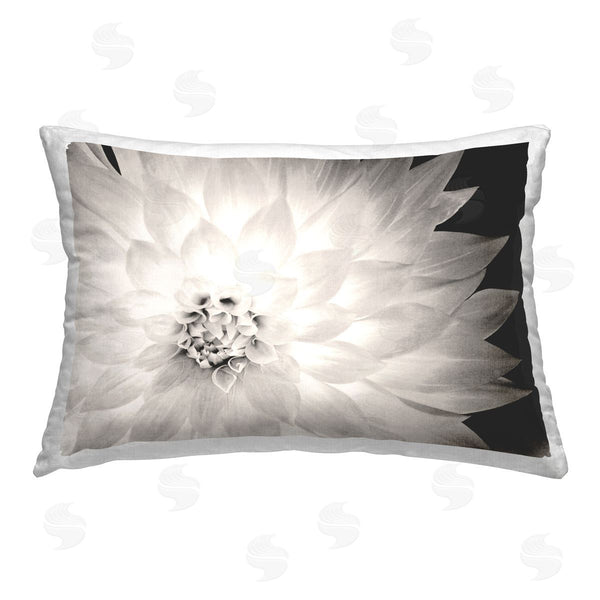 stupell industries Gail Peck | Strong Dahlia Petals