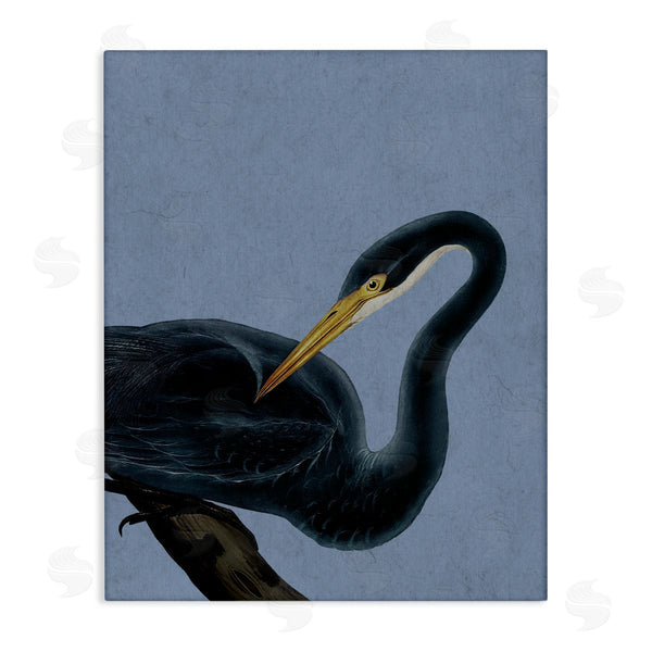 stupell industries Grace Popp | Bayou Heron Bird