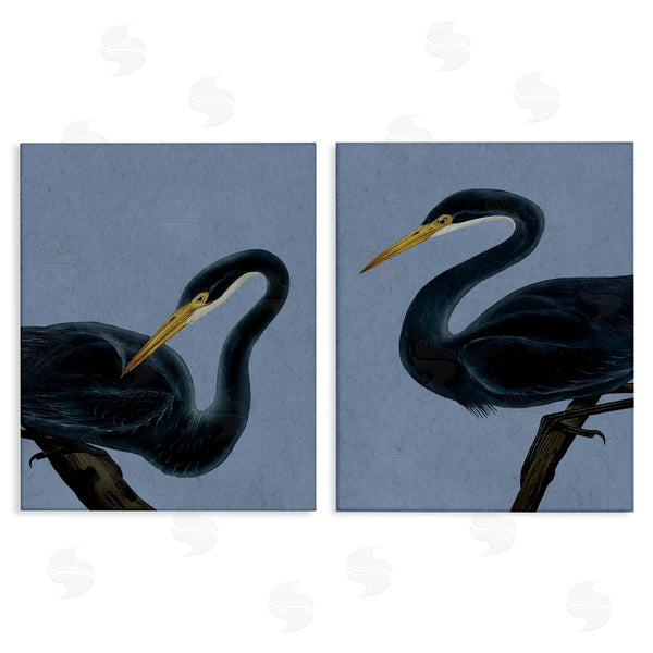 stupell industries Grace Popp | Black Heron Birds