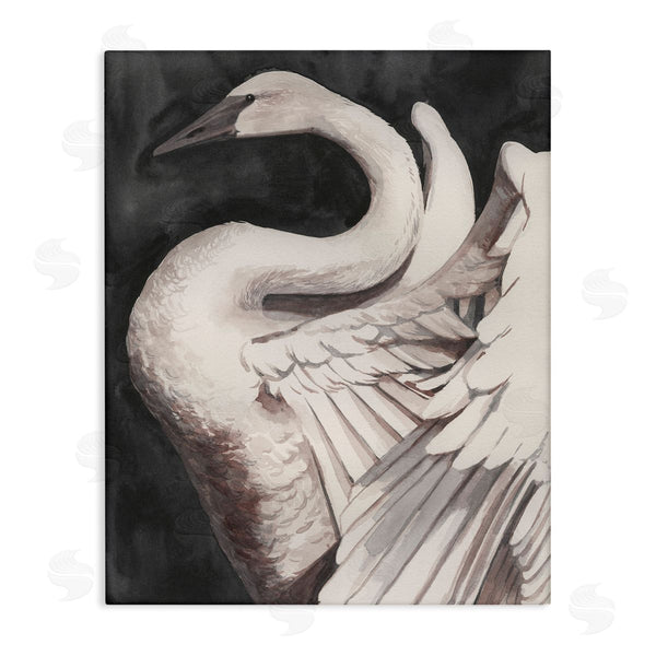 stupell industries Grace Popp | Swan Spreading Wings