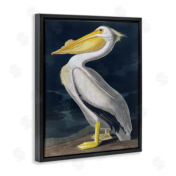 Stupell Industries Incado | Pelican On Night Shore