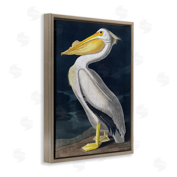 Stupell Industries Incado | Pelican On Night Shore