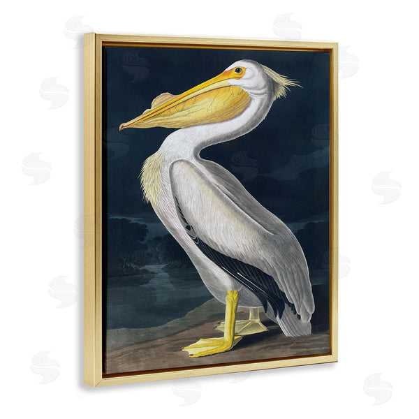 Stupell Industries Incado | Pelican On Night Shore