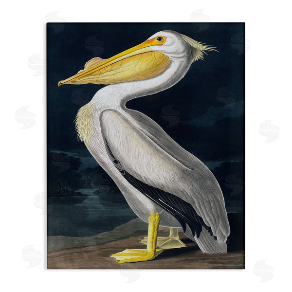 stupell industries Incado | Pelican on Night Shore