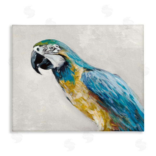 stupell industries Jacob Q | Polly Parrot Portrait