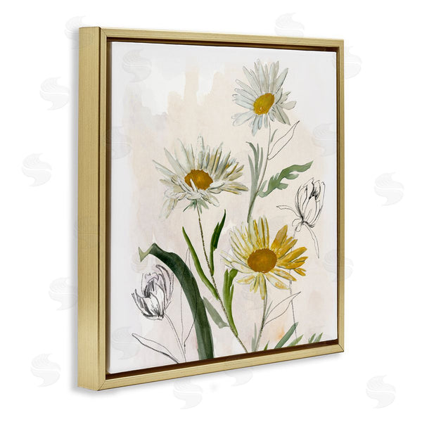 Stupell Industries Jacob Q | Pure Simplicity Daisies