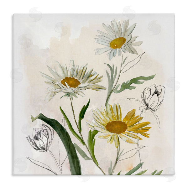stupell industries Jacob Q | Pure Simplicity Daisies
