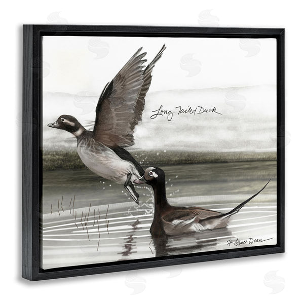 Stupell Industries Jadei Graphics | Long Tailed Duck