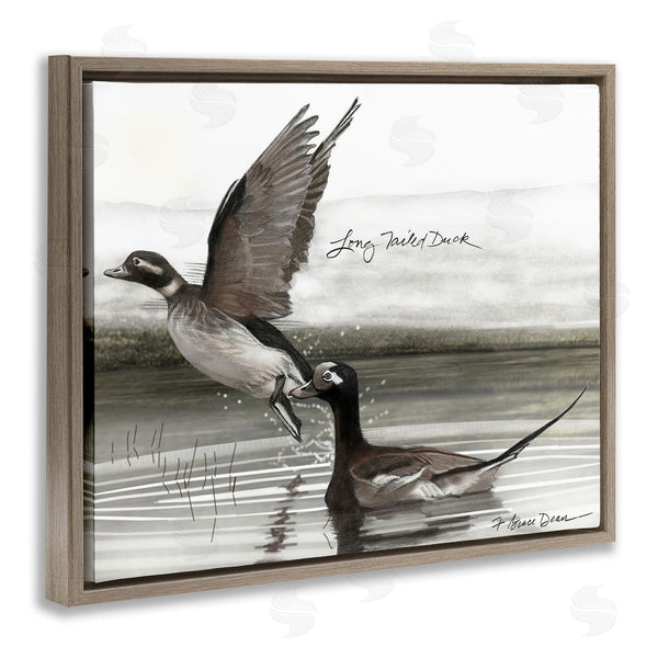 Stupell Industries Jadei Graphics | Long Tailed Duck