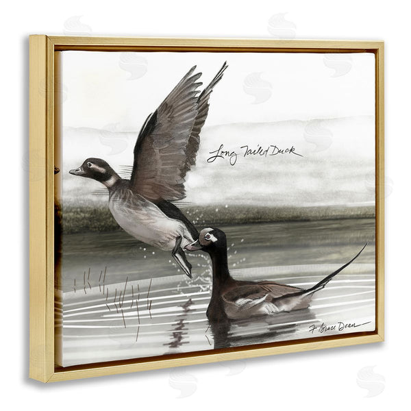 Stupell Industries Jadei Graphics | Long Tailed Duck