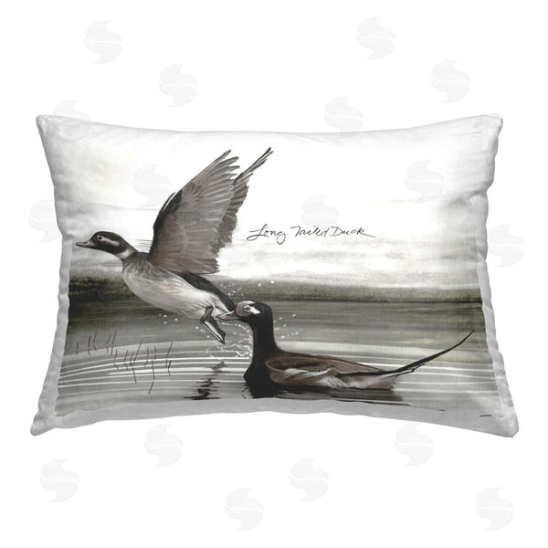 stupell industries Jadei Graphics | Long Tailed Duck