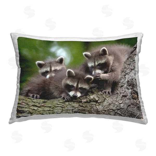 Stupell Industries Jan Piecha | Three Raccoon Cubs