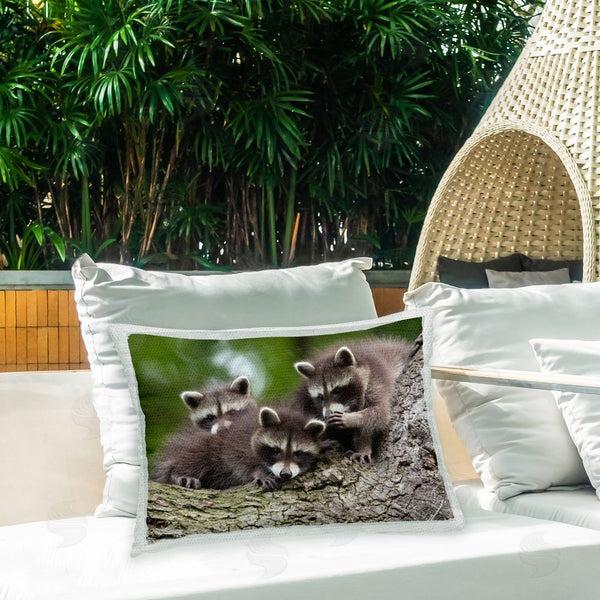 Stupell Industries Jan Piecha | Three Raccoon Cubs