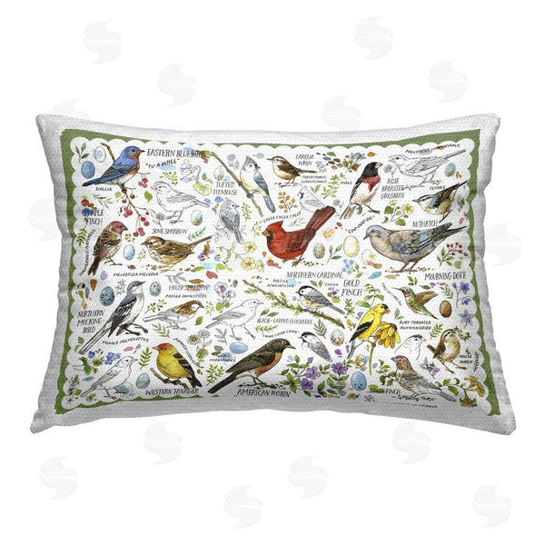 Stupell Industries Jane Maday | Various Bird Species
