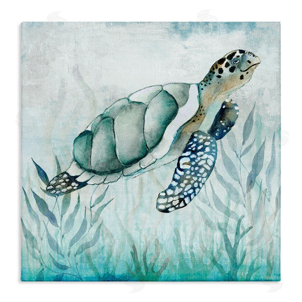 stupell industries Janet Tava | Turtle & Seaweed