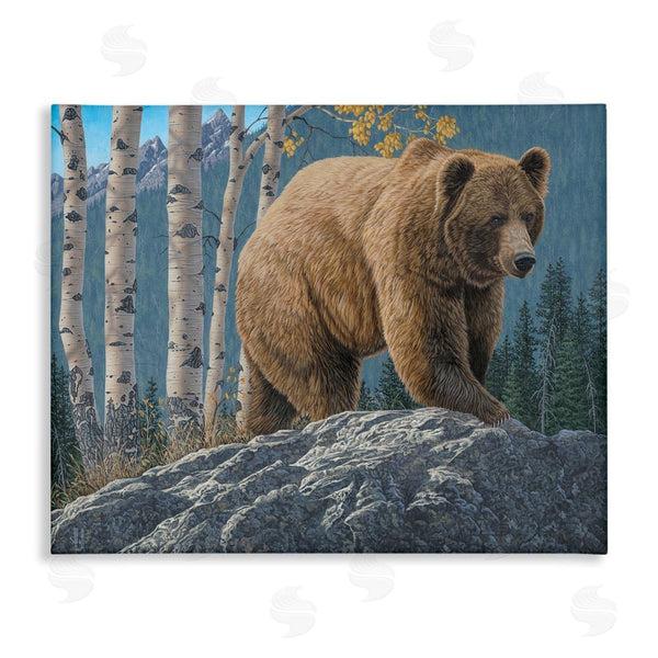 stupell industries Jeff Hoff | Brown Bear on Rock