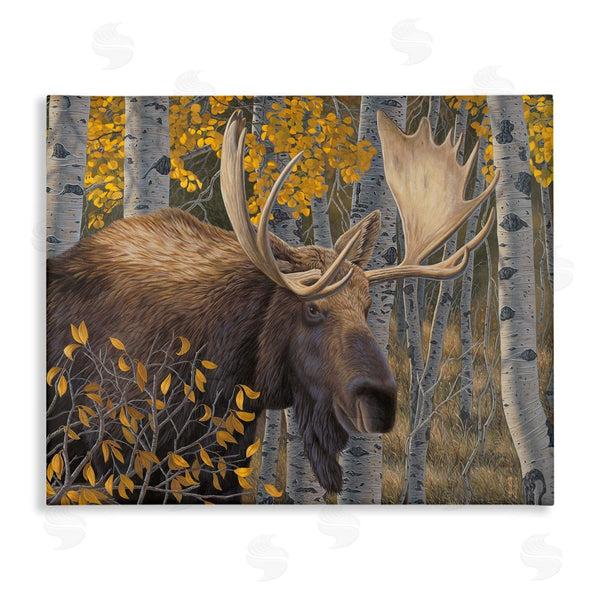 stupell industries Jeff Hoff | Moose in Fall Foliage