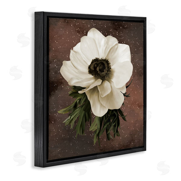 Stupell Industries Jennifer Stith | Anemone On Brown