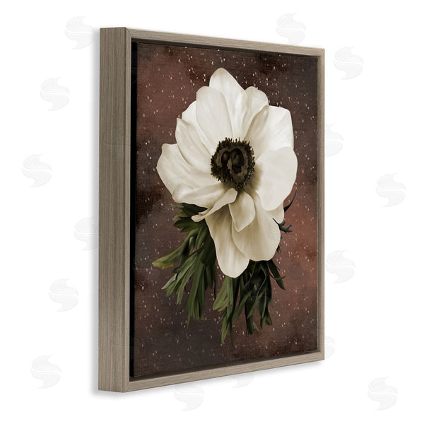 Stupell Industries Jennifer Stith | Anemone On Brown