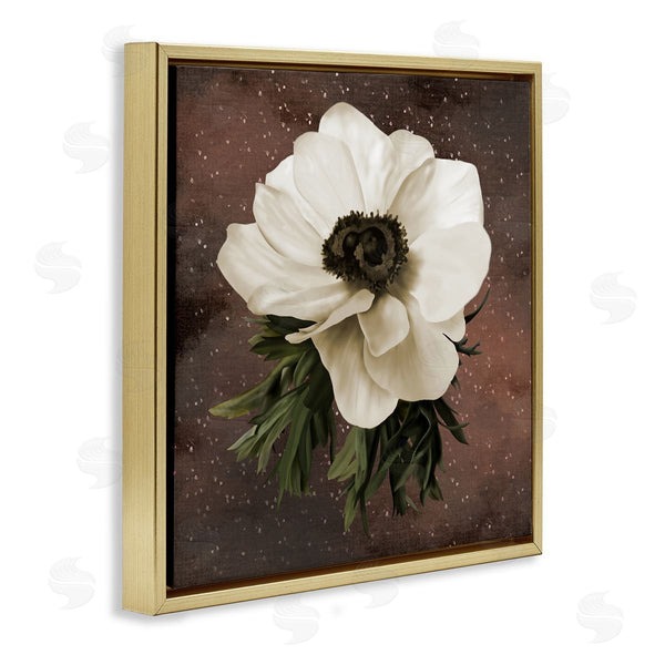 Stupell Industries Jennifer Stith | Anemone On Brown