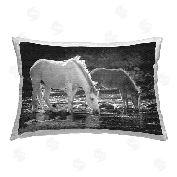 Stupell Industries JG Studios | Horse & Foal On Shore