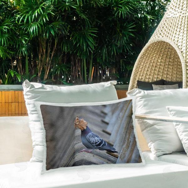 Stupell Industries John Speirs | Pigeon & Leaf Humor