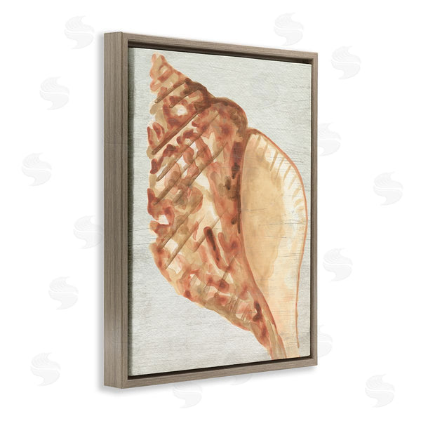 Stupell Industries June Erica Vess | Tan Conch Shell