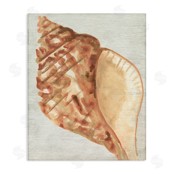 stupell industries June Erica Vess | Tan Conch Shell