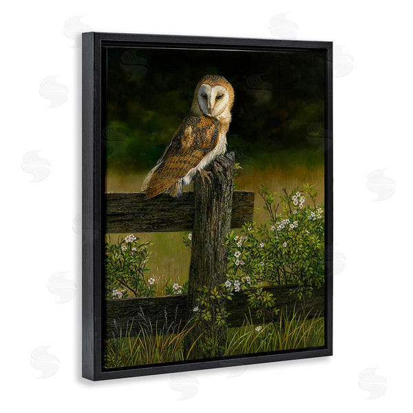 Stupell Industries Karla Mann | Barn Owl On Fence