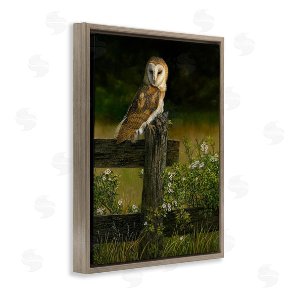 Stupell Industries Karla Mann | Barn Owl On Fence