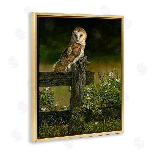 Stupell Industries Karla Mann | Barn Owl On Fence