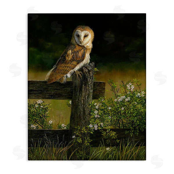 stupell industries Karla Mann | Barn Owl on Fence