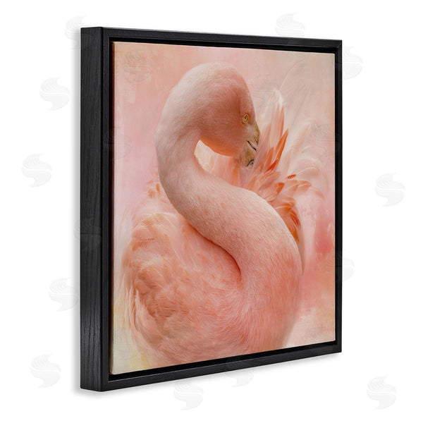 Stupell Industries Kelley Parker | Cocoon Of Plumage