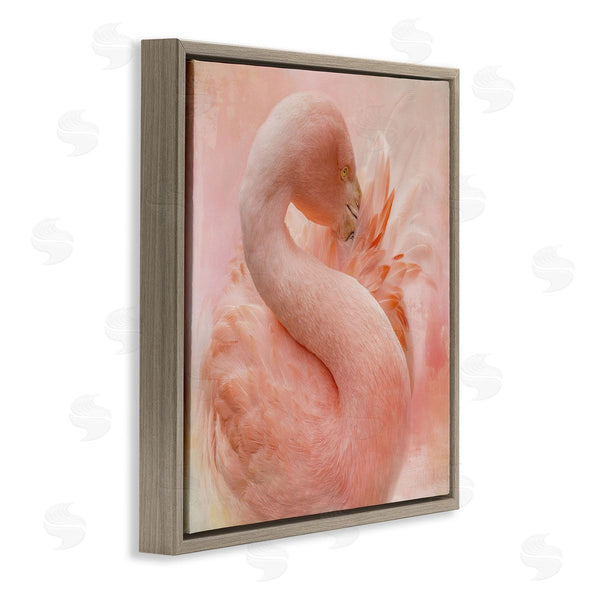 Stupell Industries Kelley Parker | Cocoon Of Plumage