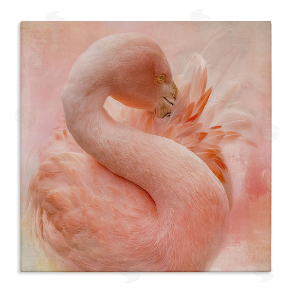 stupell industries Kelley Parker | Cocoon of Plumage