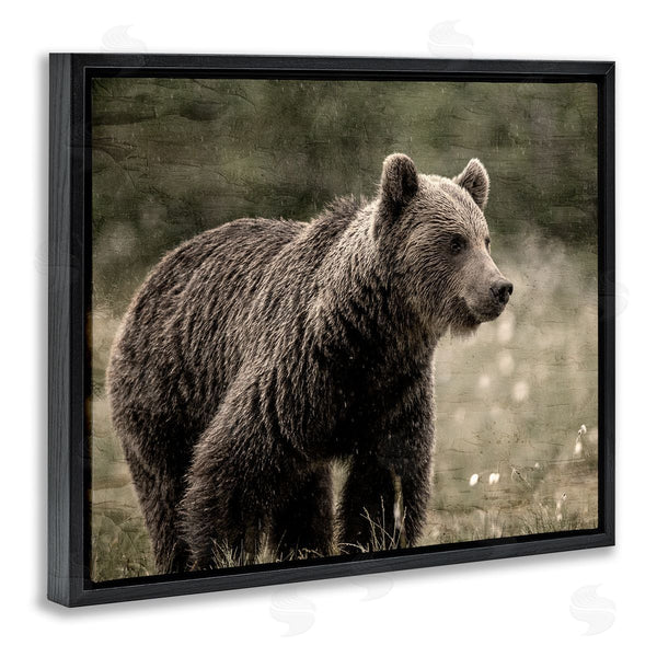 Stupell Industries Kim Allen | Brown Bear Wildlife