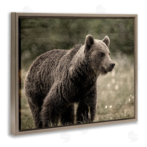 Stupell Industries Kim Allen | Brown Bear Wildlife