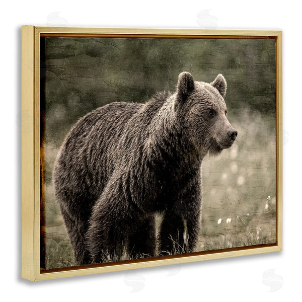 Stupell Industries Kim Allen | Brown Bear Wildlife