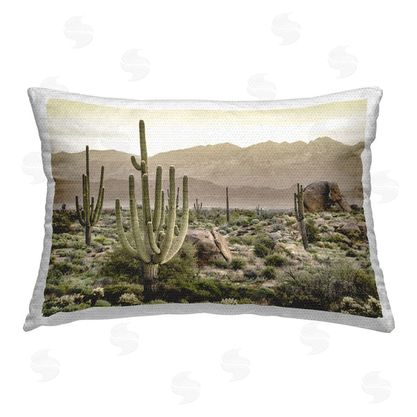 Stupell Industries Kim Allen | Cactus In Arid Desert