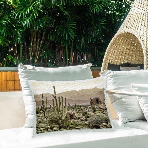Stupell Industries Kim Allen | Cactus In Arid Desert